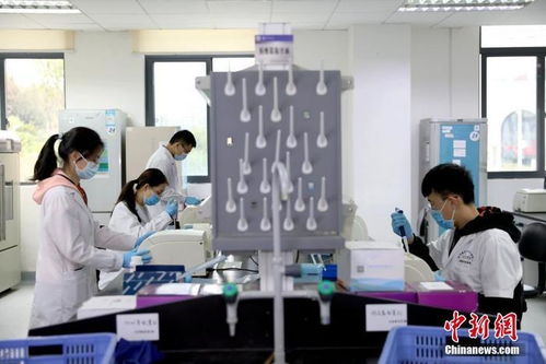 打卡介苗能否減少新冠肺炎感染風(fēng)險(xiǎn)？專家回應(yīng)與技術(shù)開(kāi)發(fā)進(jìn)展